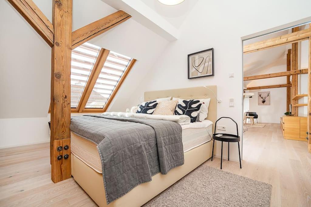 Fantastic Attic Apt with big Terrace