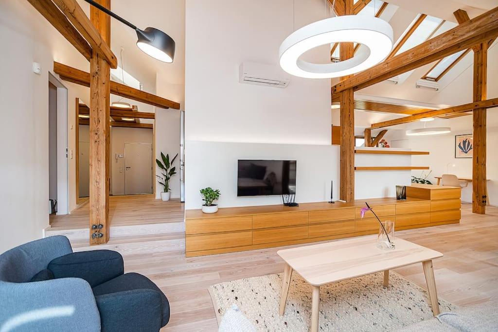 Fantastic Attic Apt with big Terrace