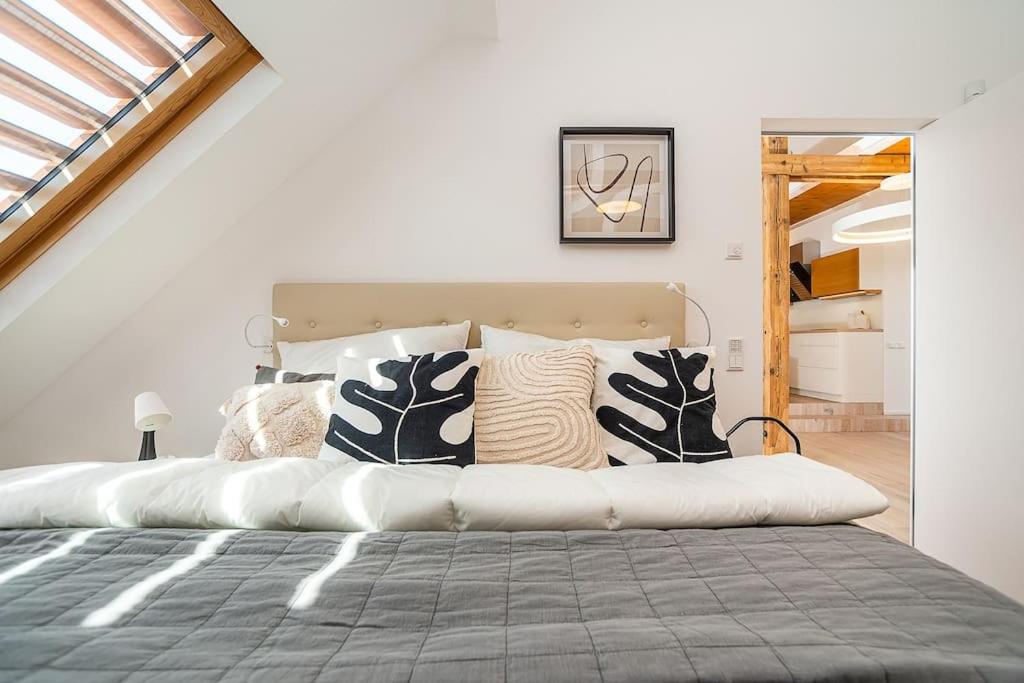 Fantastic Attic Apt with big Terrace