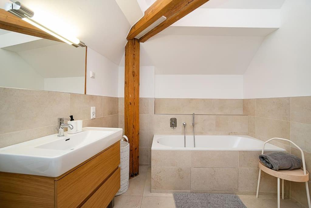 Fantastic Attic Apt with big Terrace