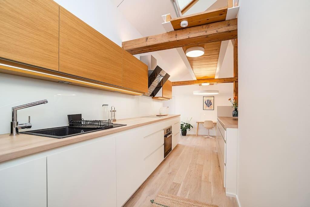 Fantastic Attic Apt with big Terrace
