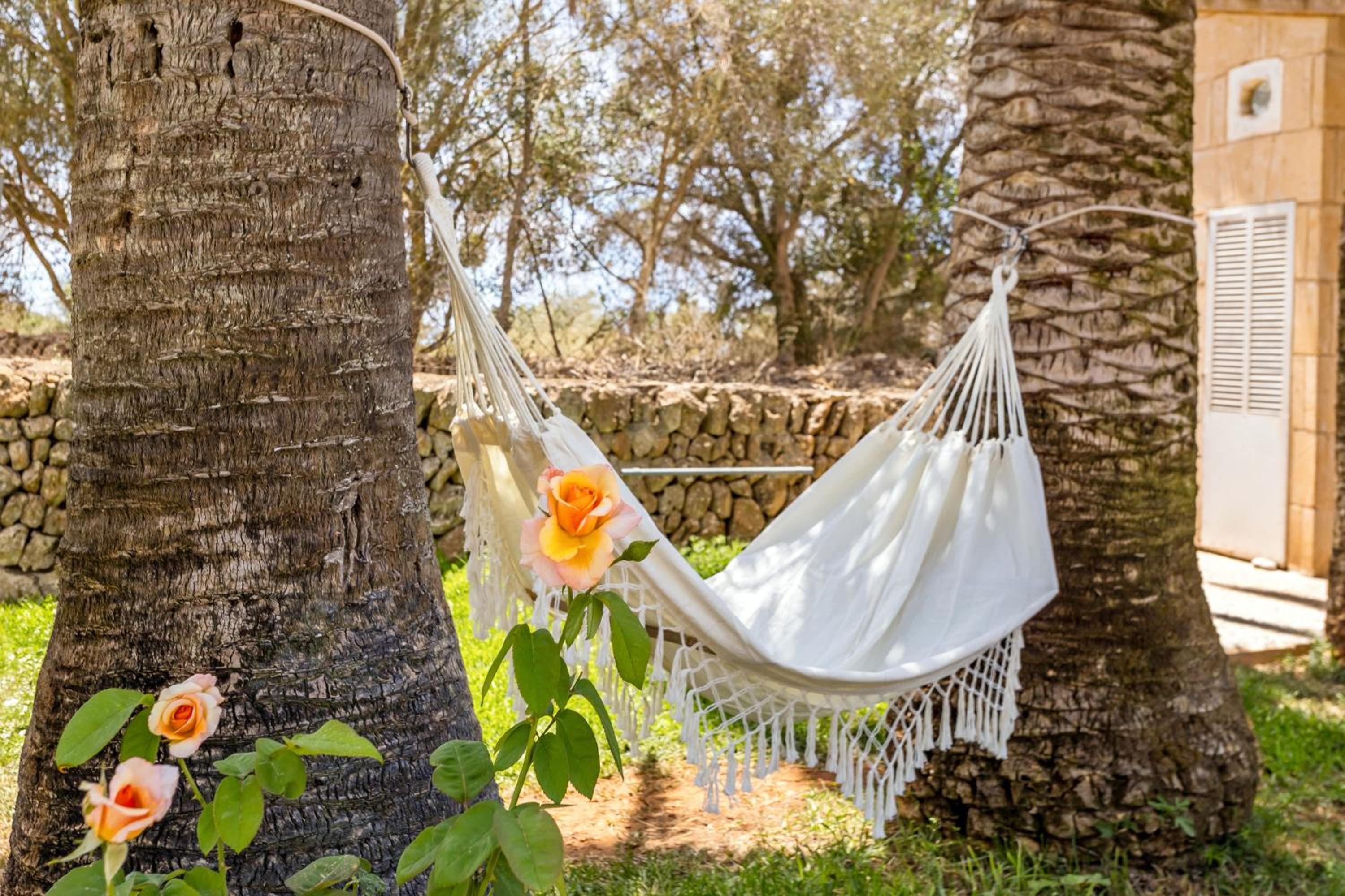 Finca Son Vidal
