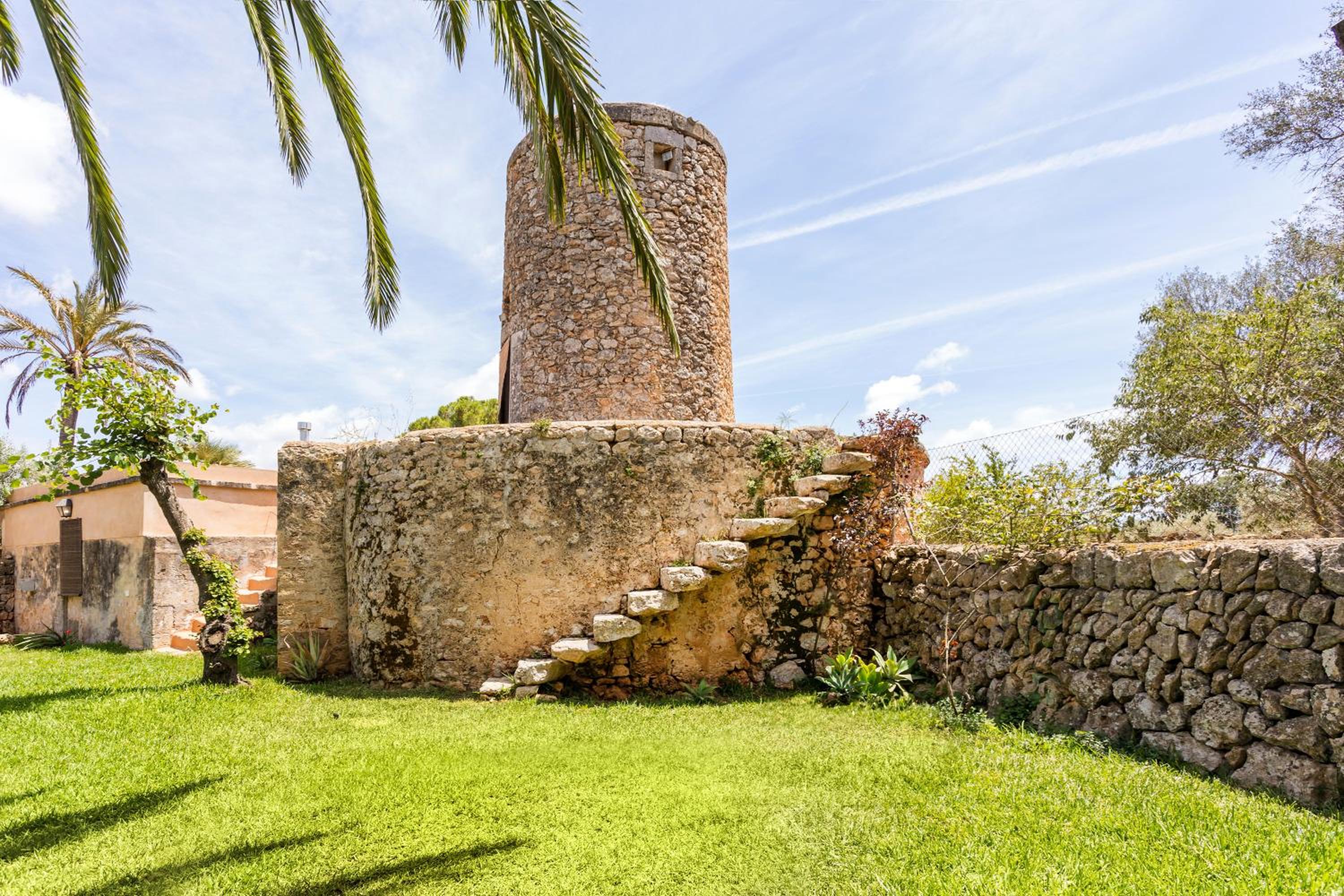 Finca Son Vidal