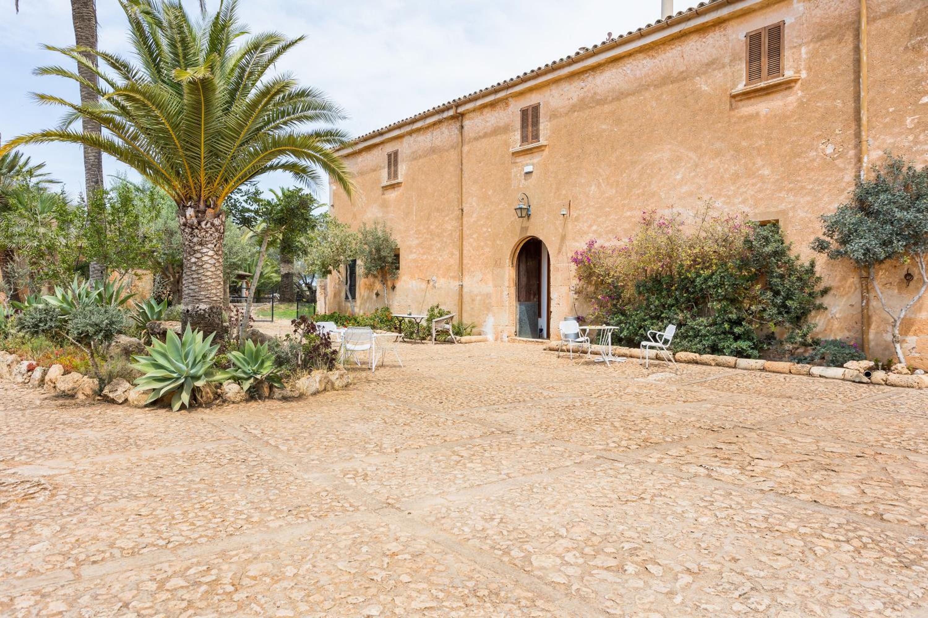 Finca Son Vidal