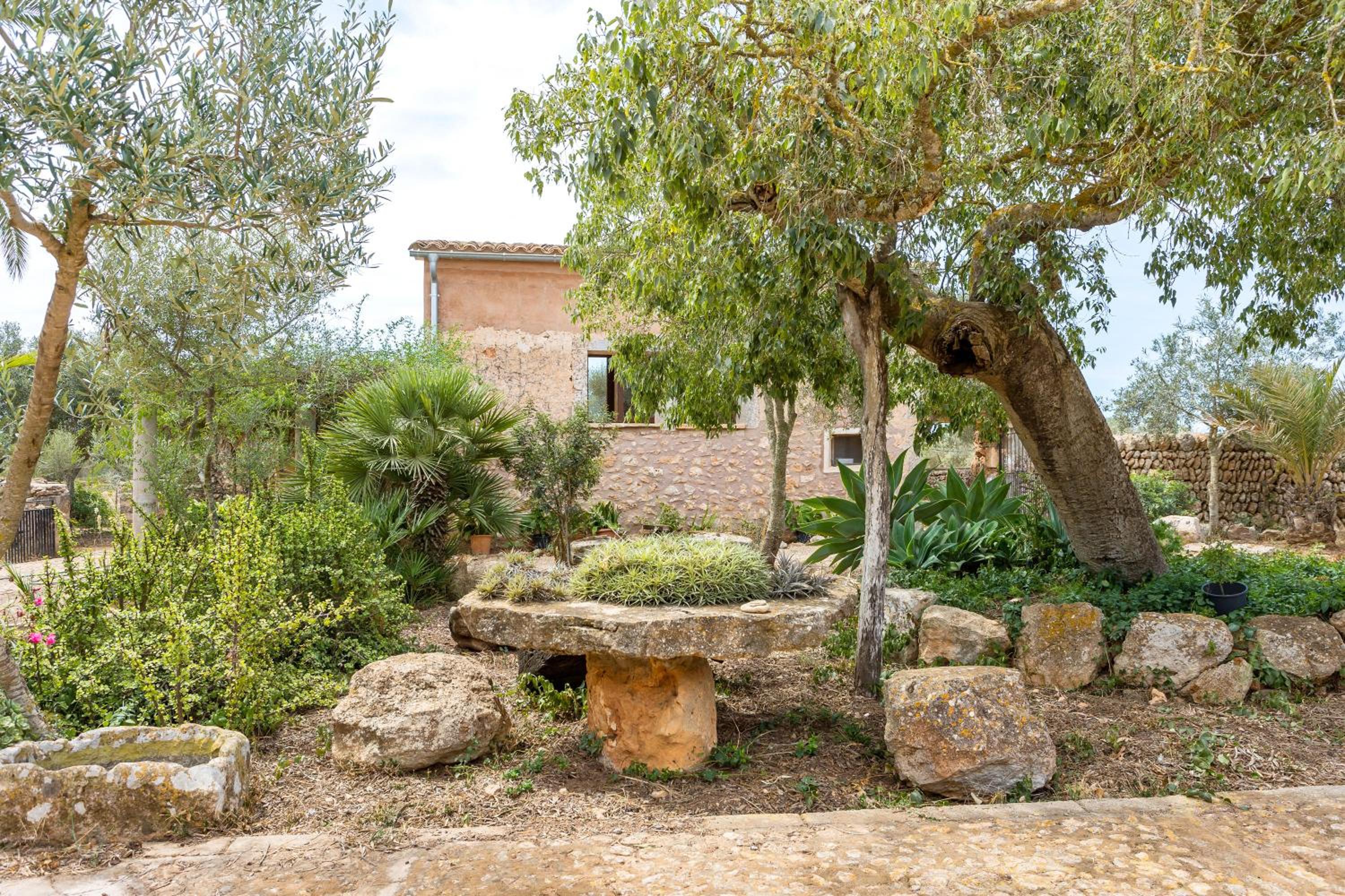 Finca Son Vidal