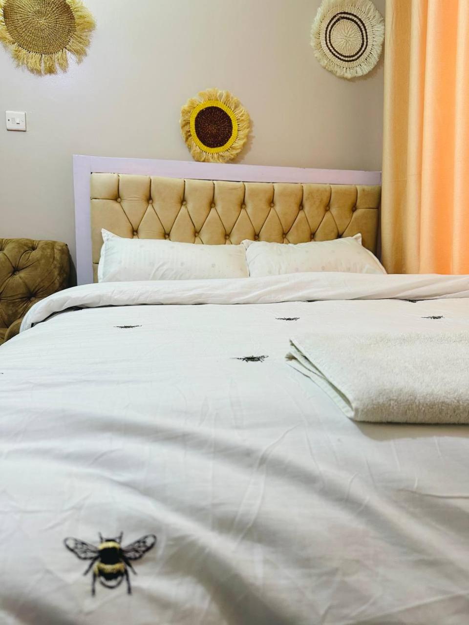 Rige's Homes Furnished Studio Kiambu Road, Thindigua