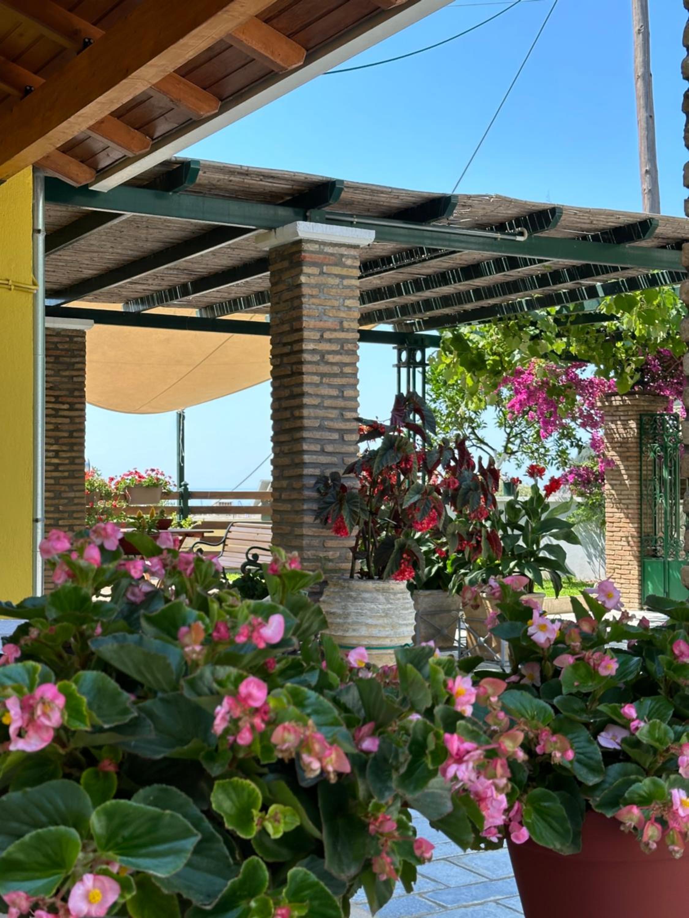 Photo 7