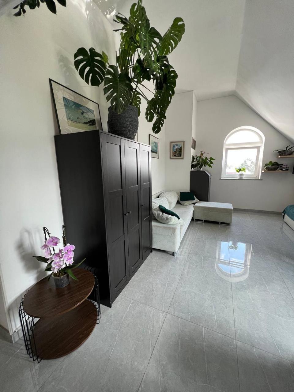 Jurgis Guest house