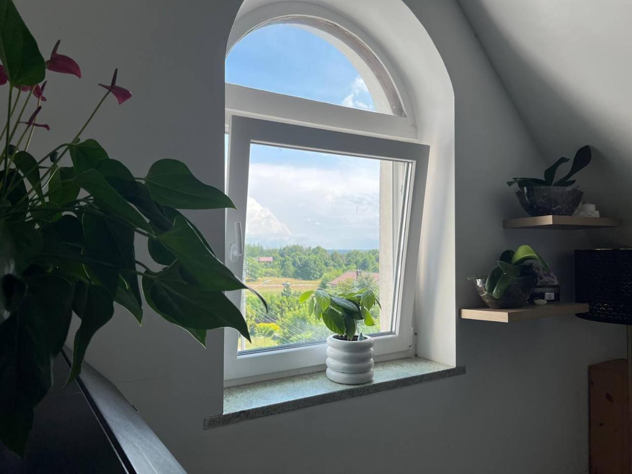 Jurgis Guest house