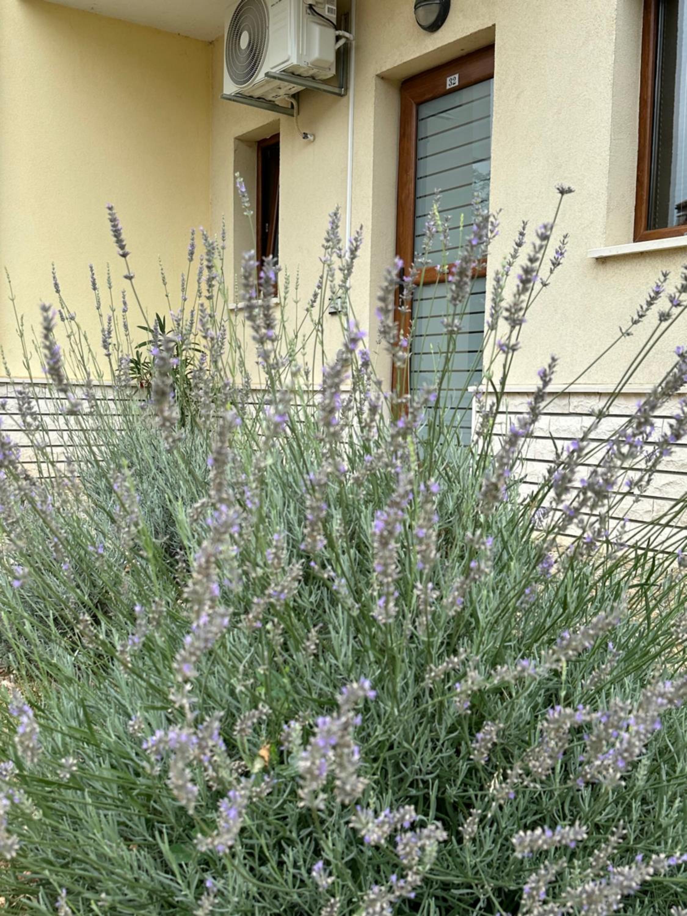 Villa Helios golf