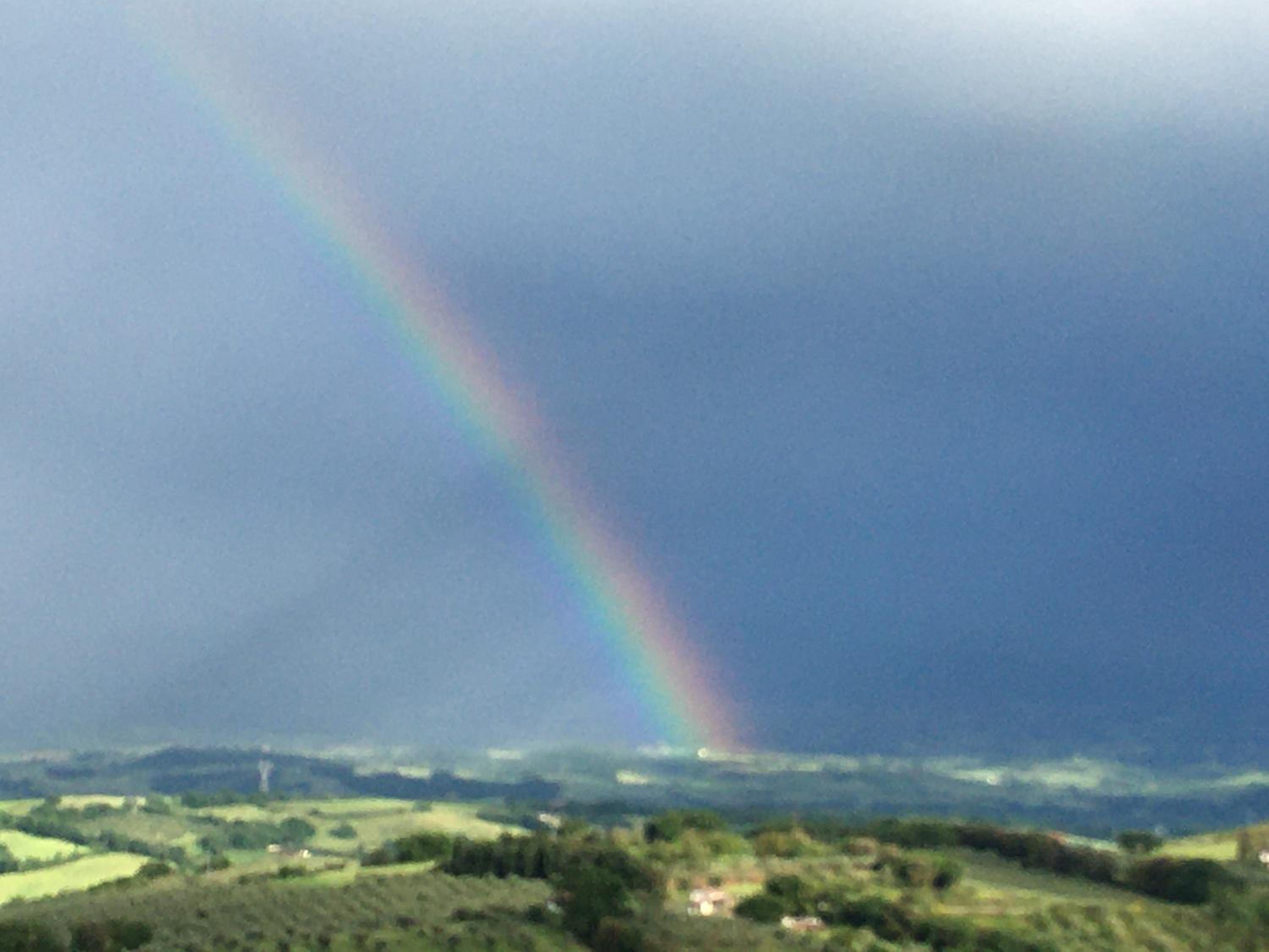 La Corte di Ardengo