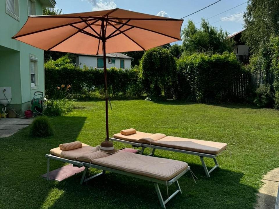 Danube Villa with swimming pool view 5