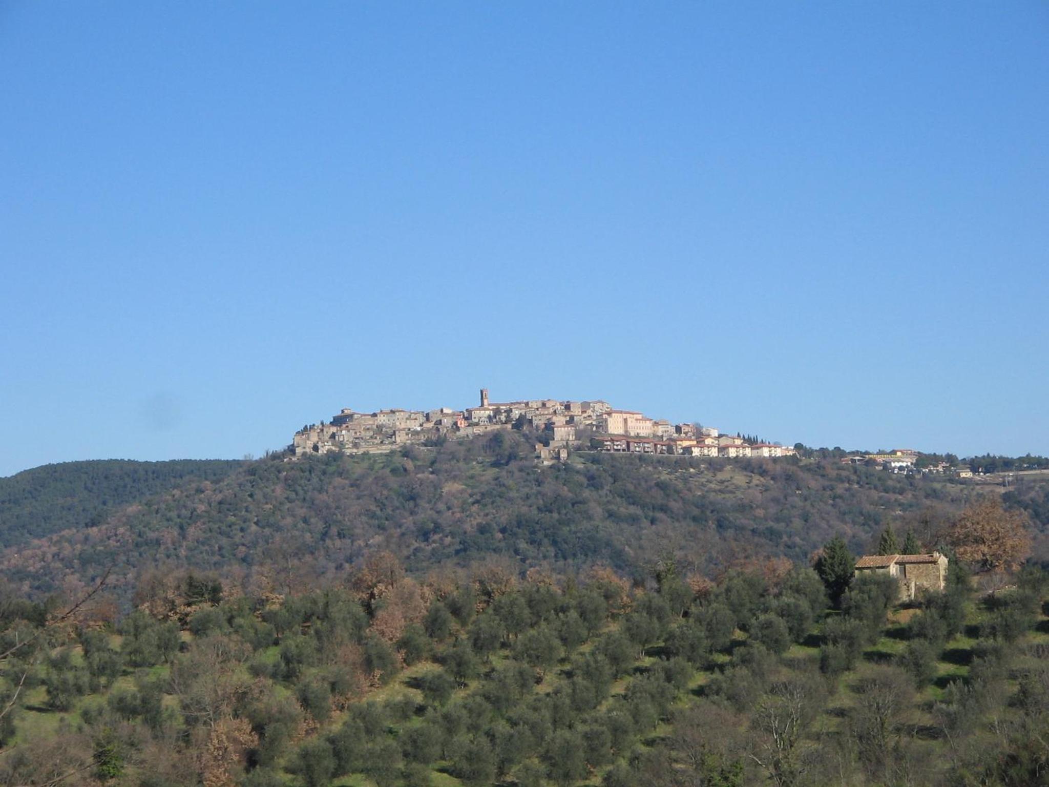 La Corte di Ardengo