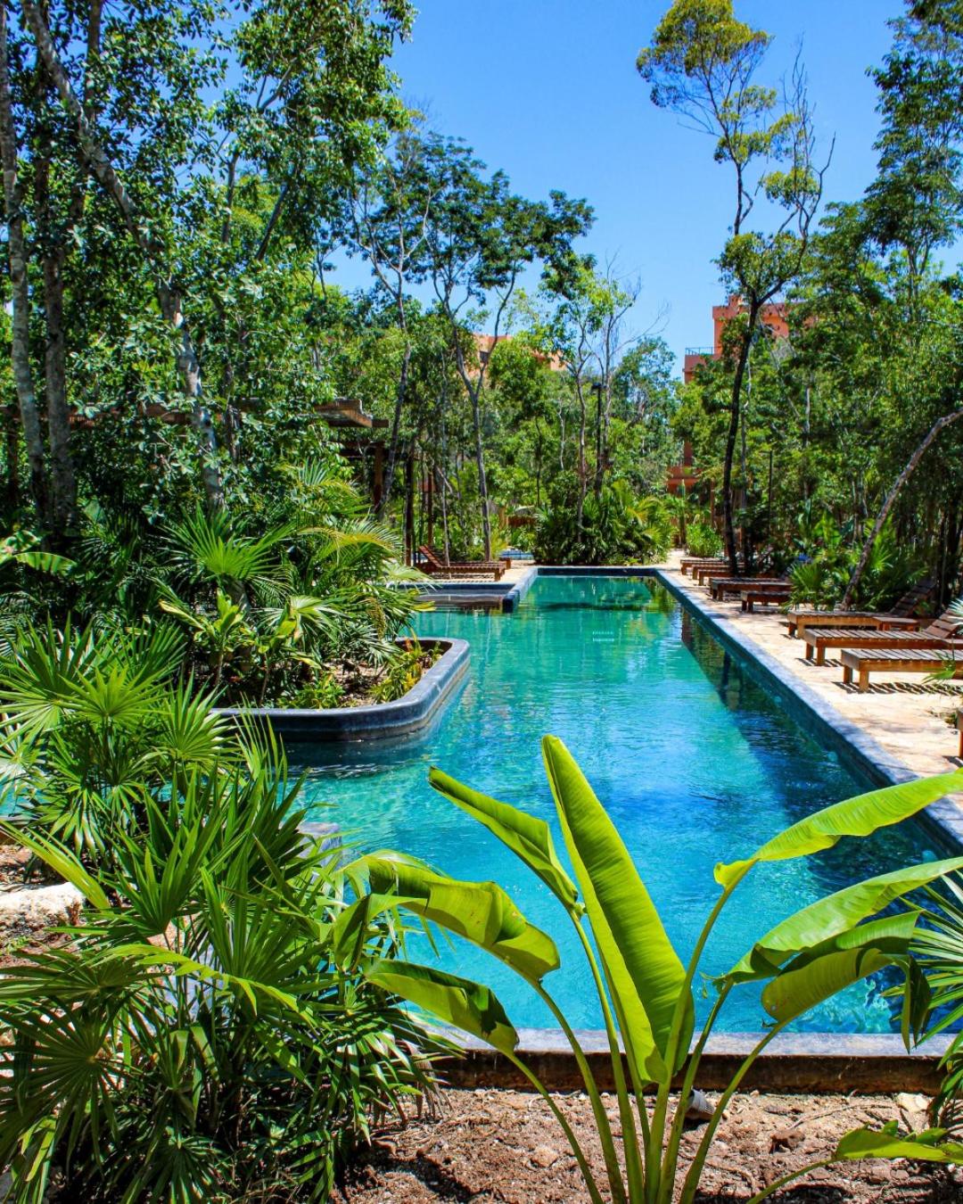 Estudio completo en la selva view 5