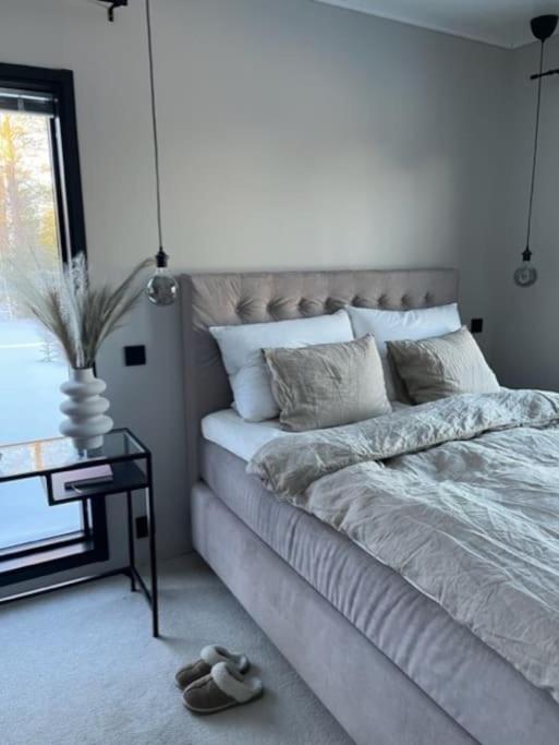 Villa Arctic Home