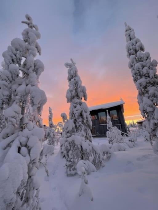 Villa Arctic Home