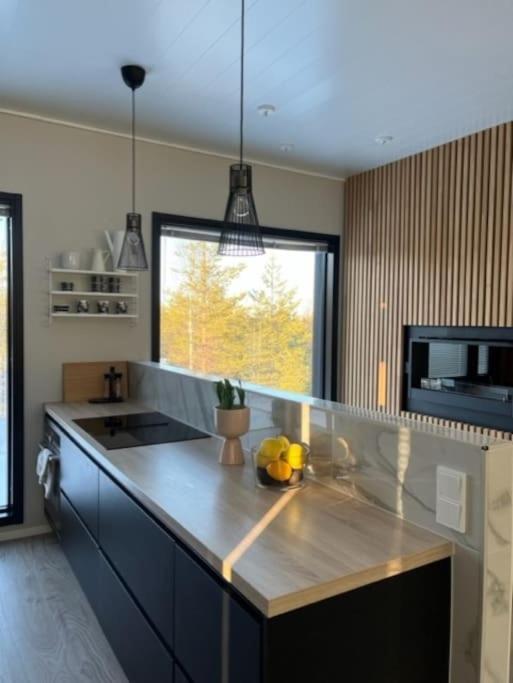 Villa Arctic Home