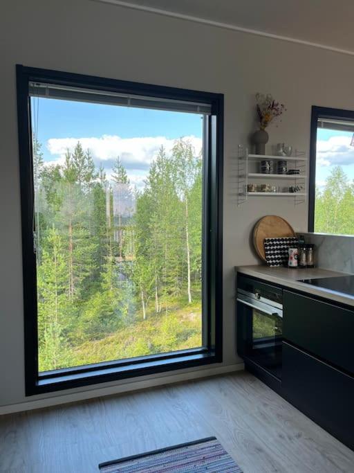 Villa Arctic Home