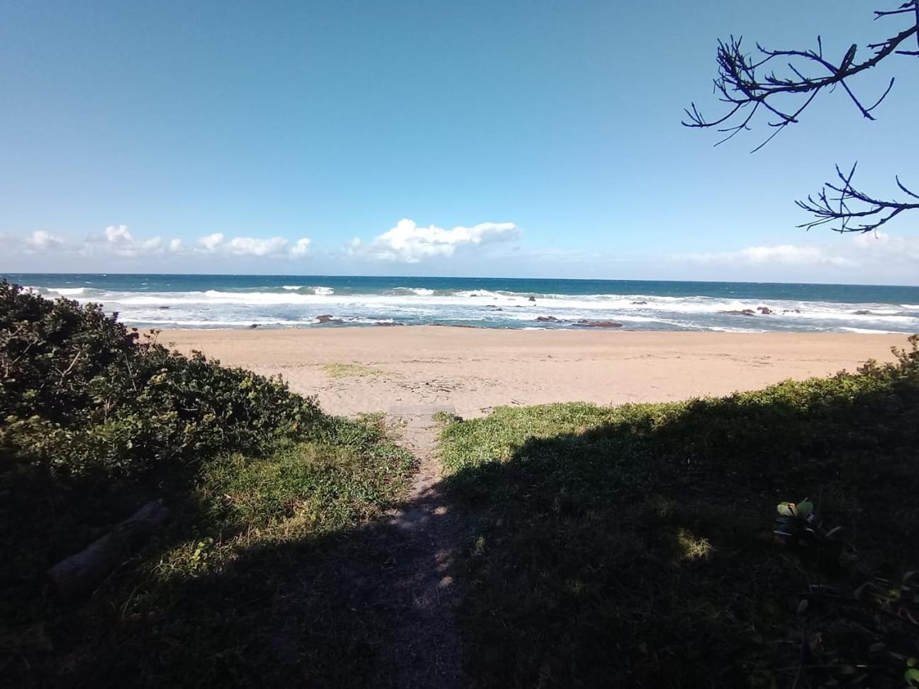 Photo 44