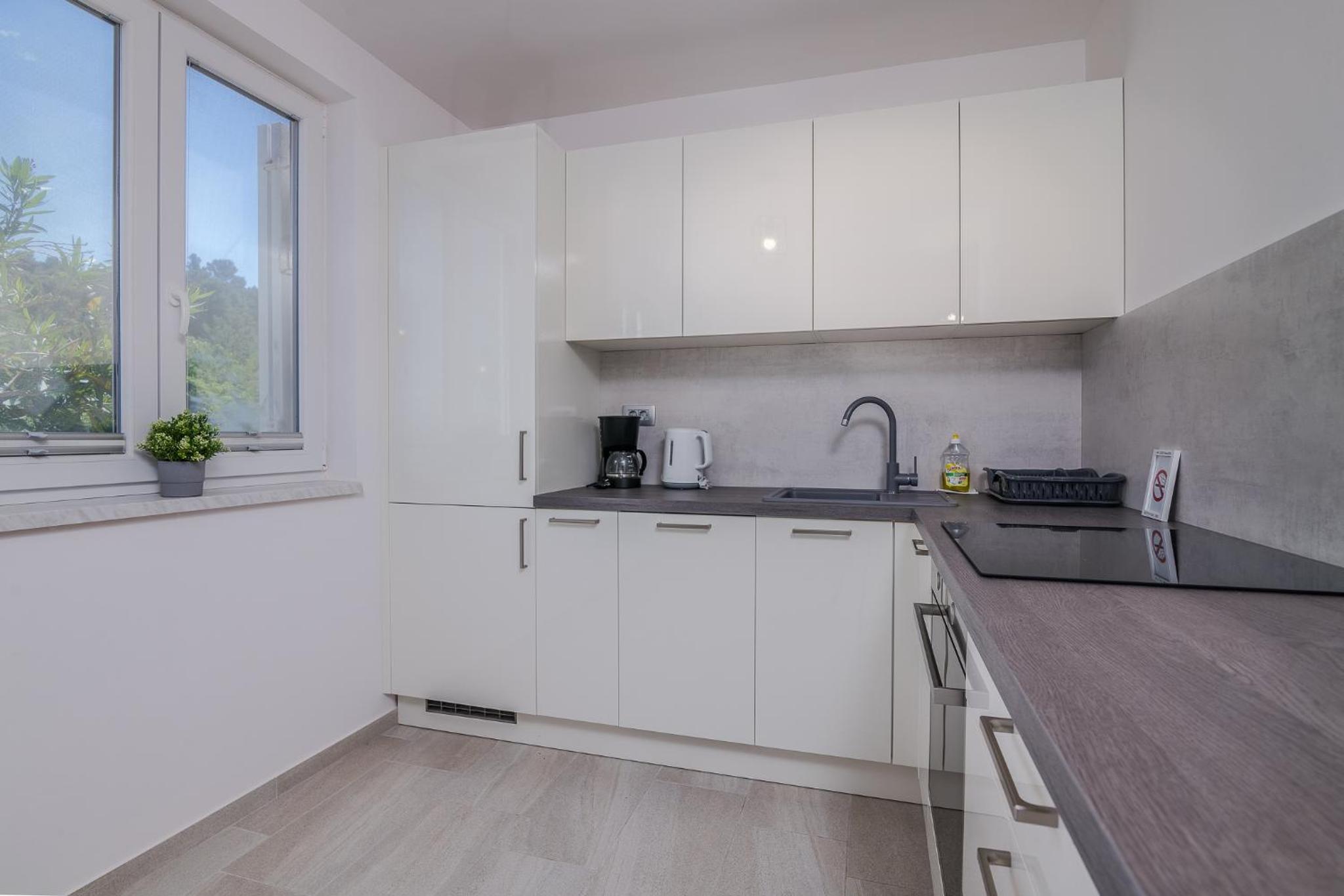 Apartment Lana