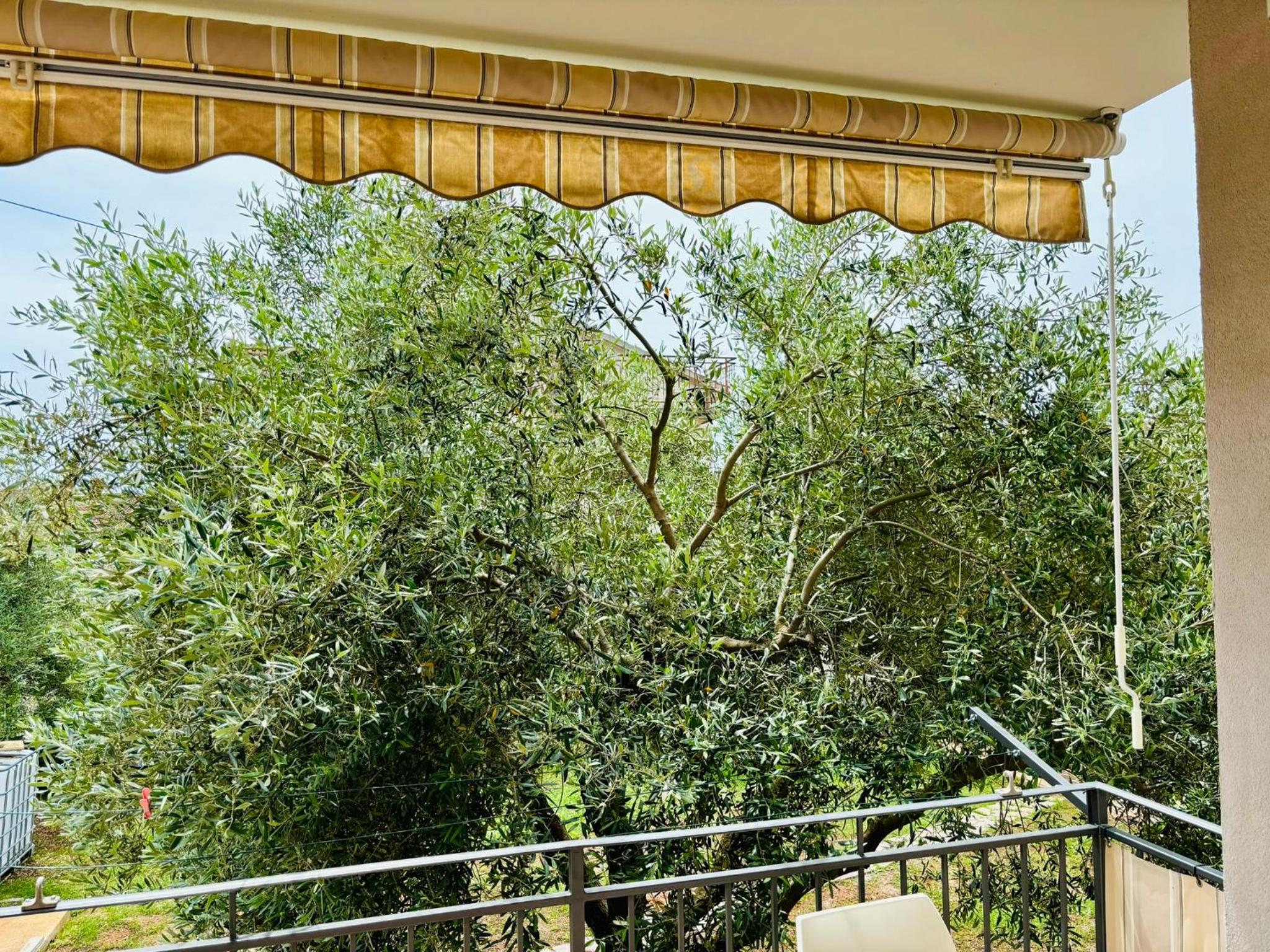 Apartment Oliva