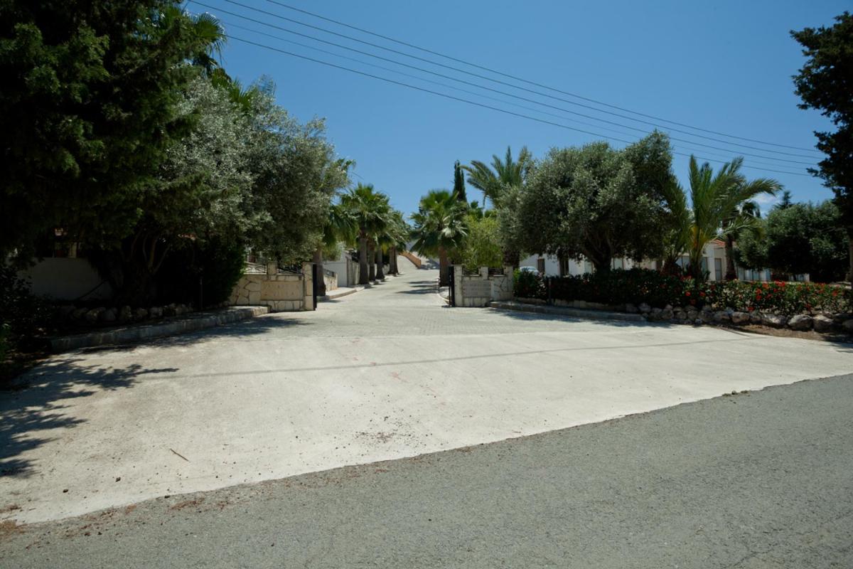 Photo 44