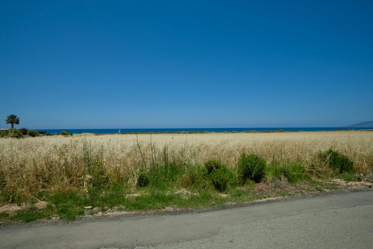Photo 43
