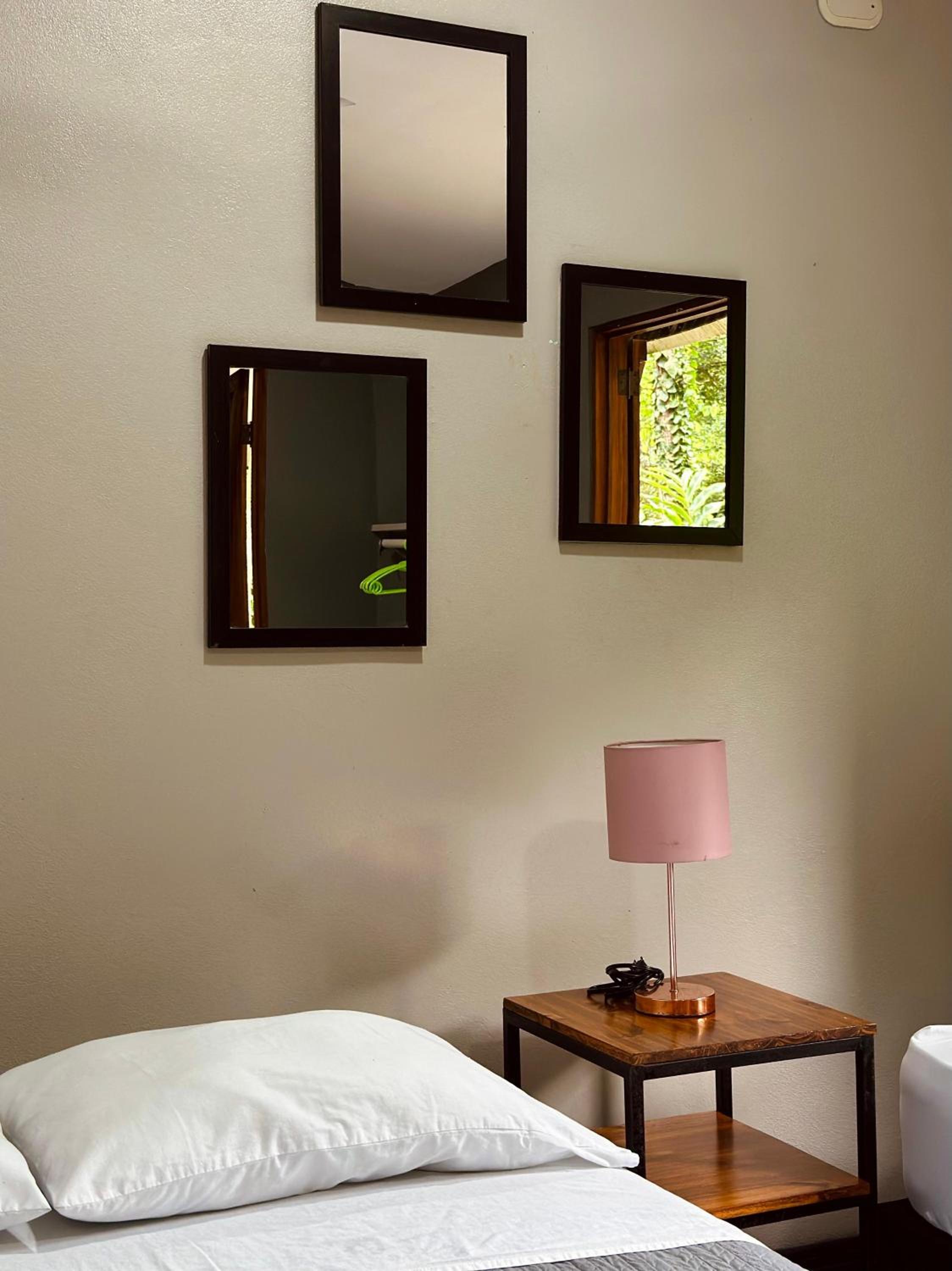Hotel Boutique The Green Jungle House