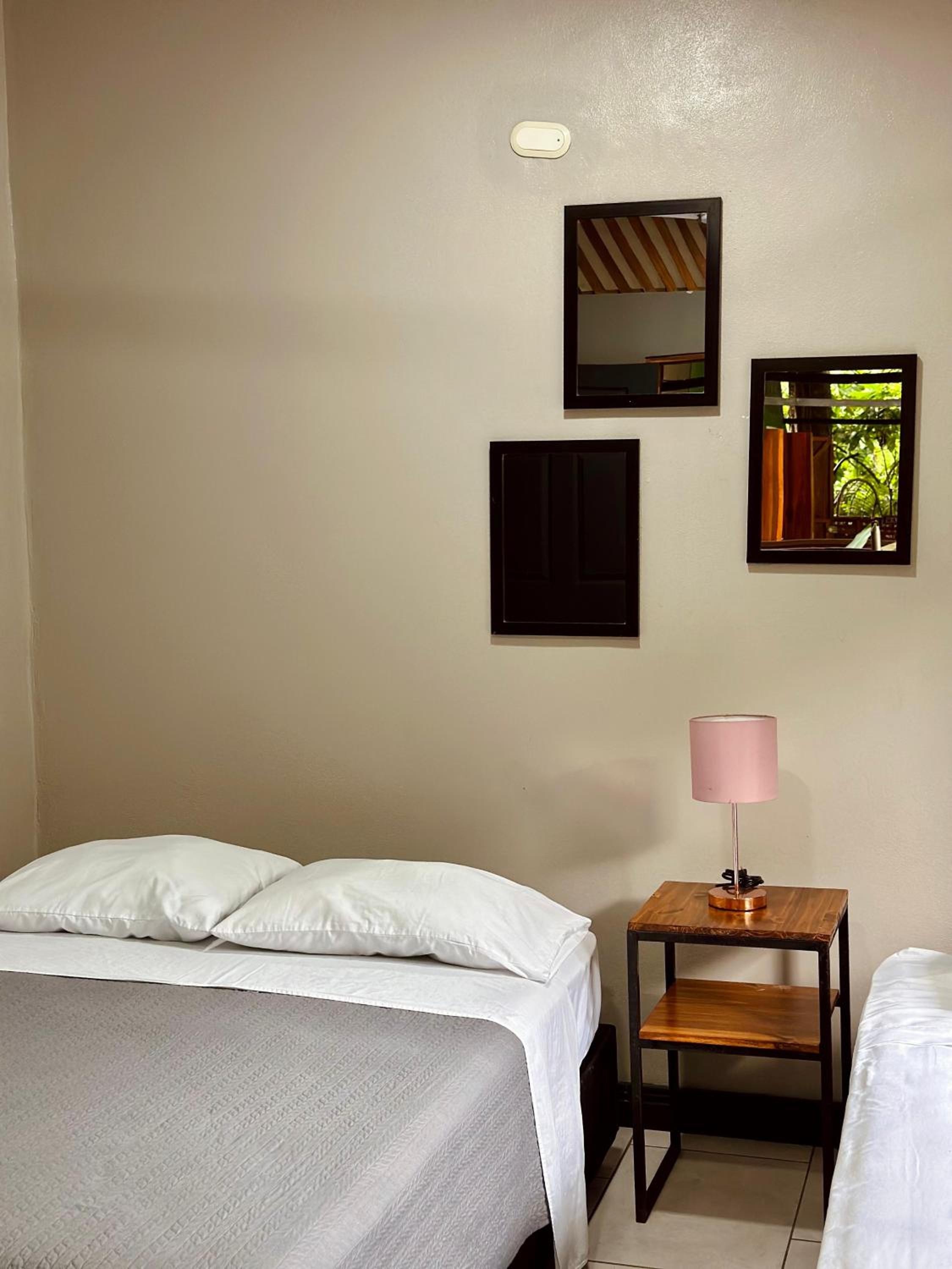 Hotel Boutique The Green Jungle House
