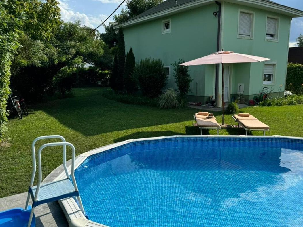 Danube Villa with swimming pool view 2