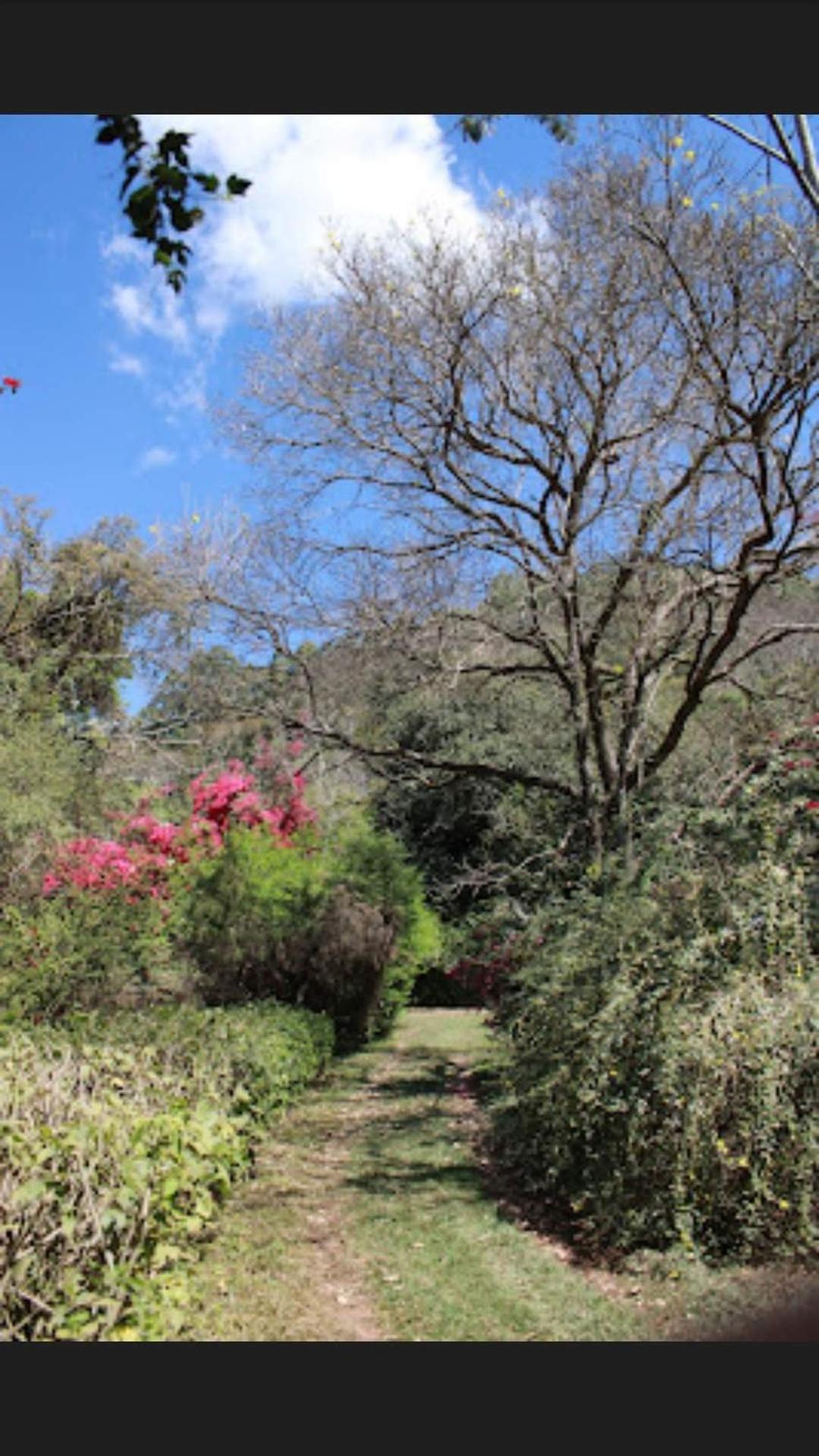 Pachamama Caconde