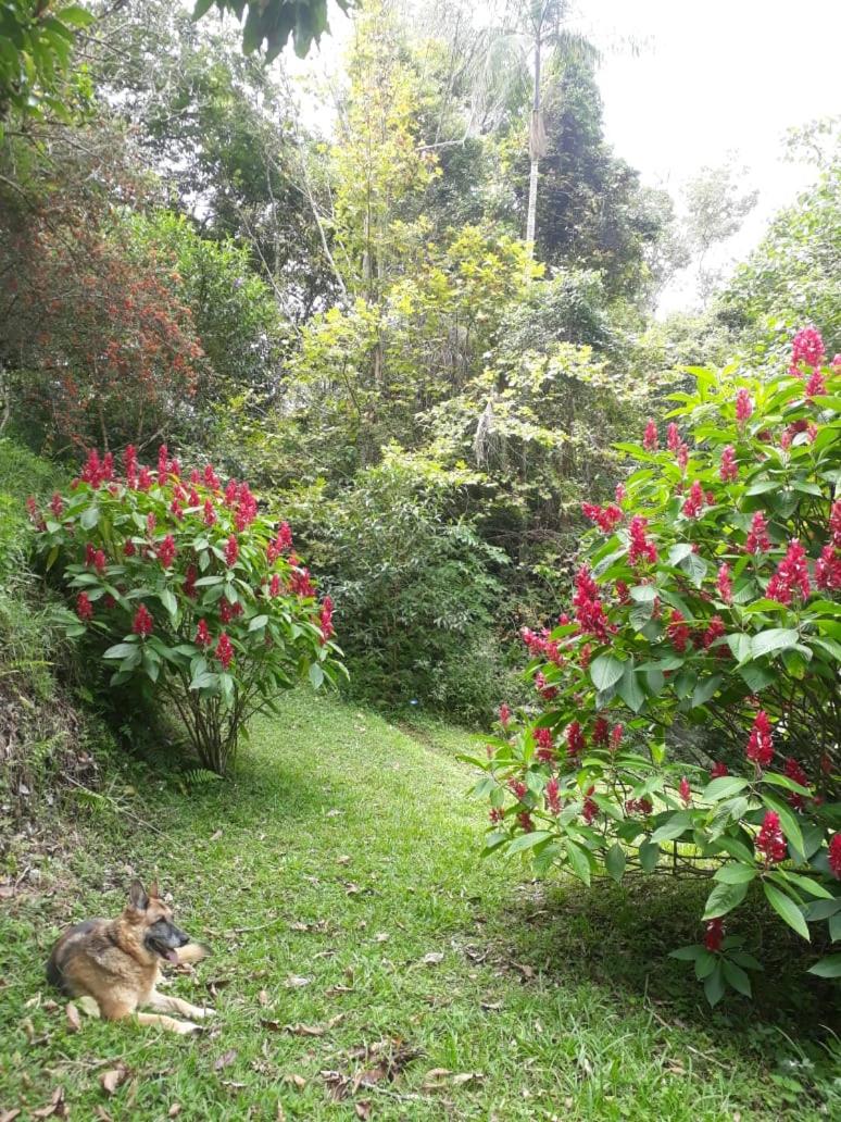 Pachamama Caconde