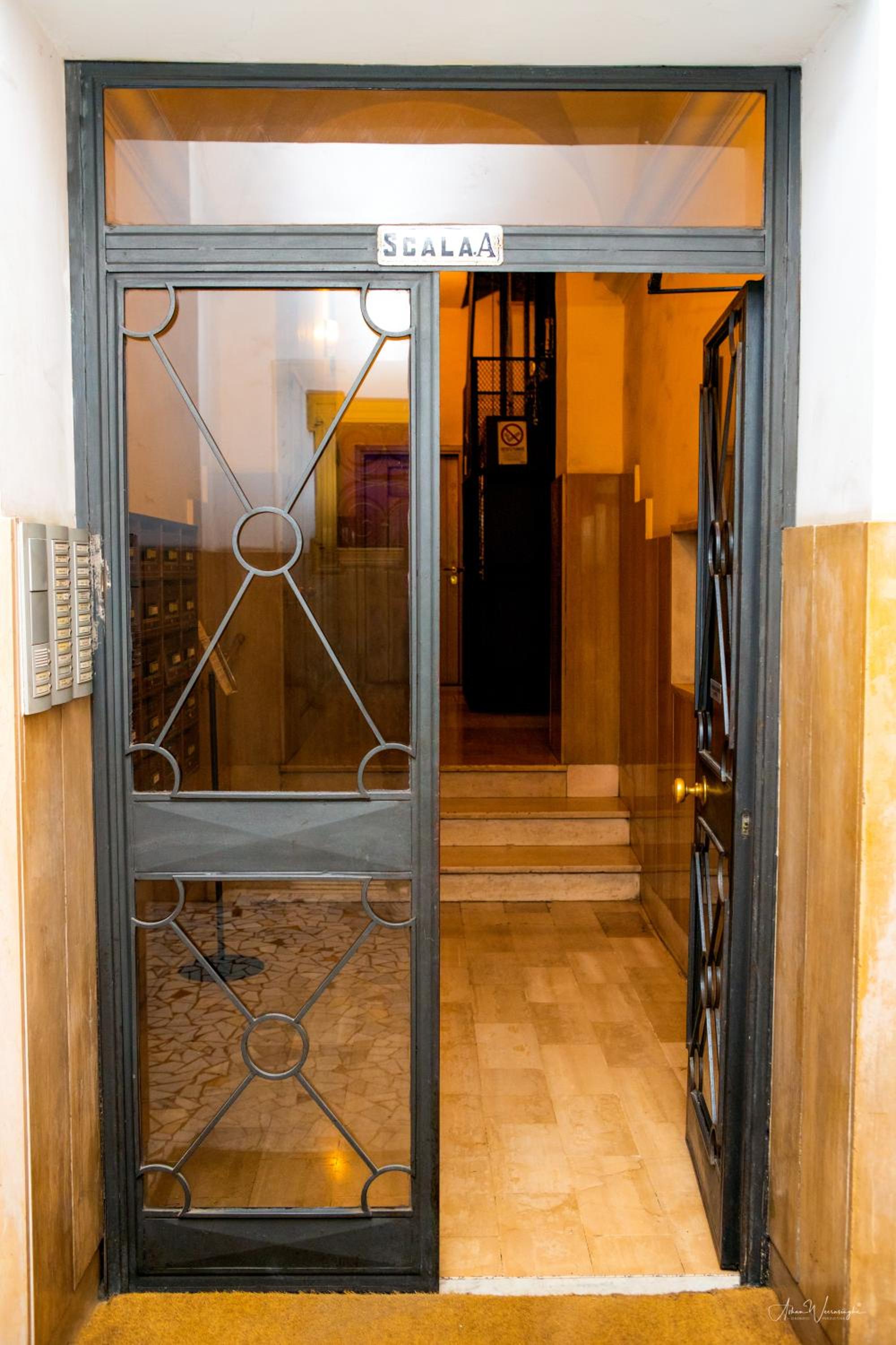 Magikrooms Topaz