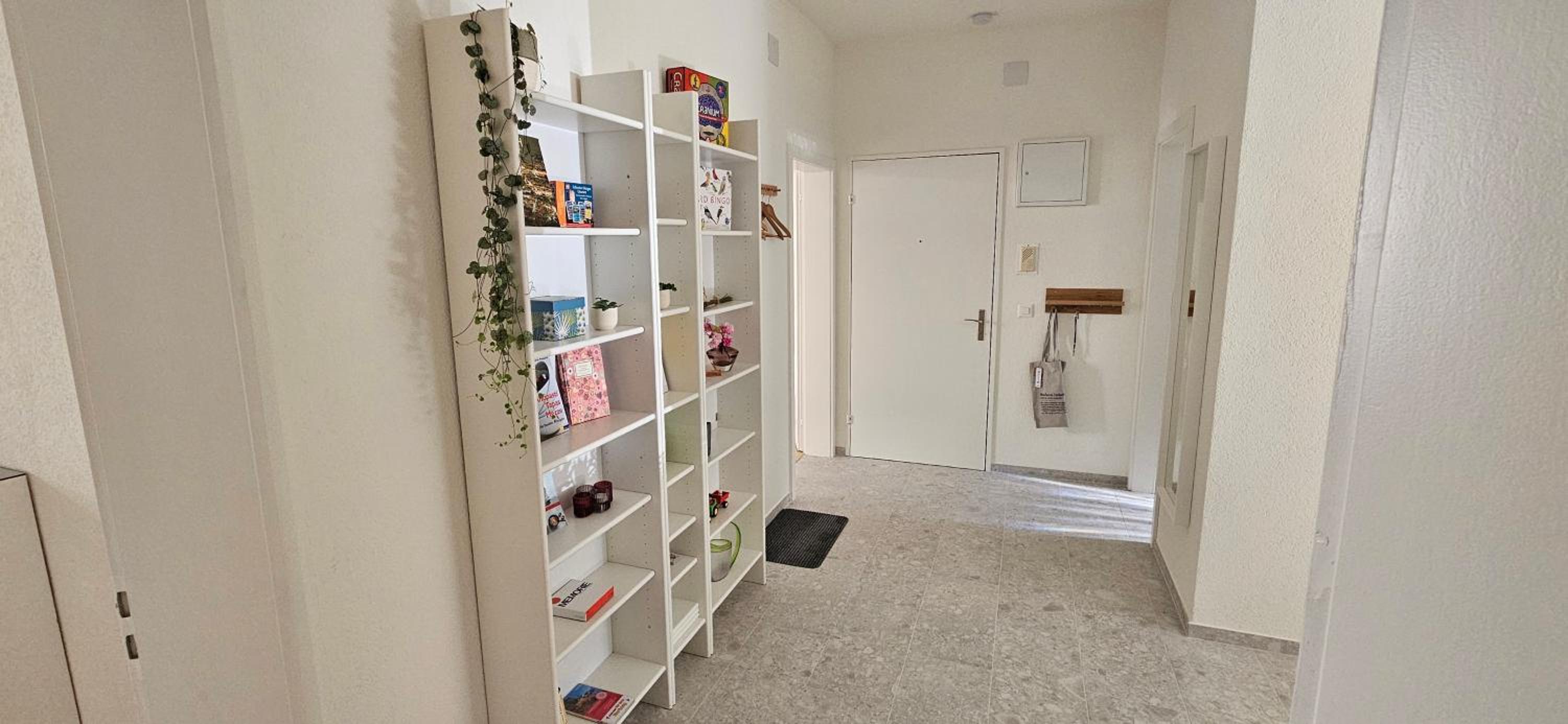 New 2 BR Apartment - 15min from Paradeplatz
