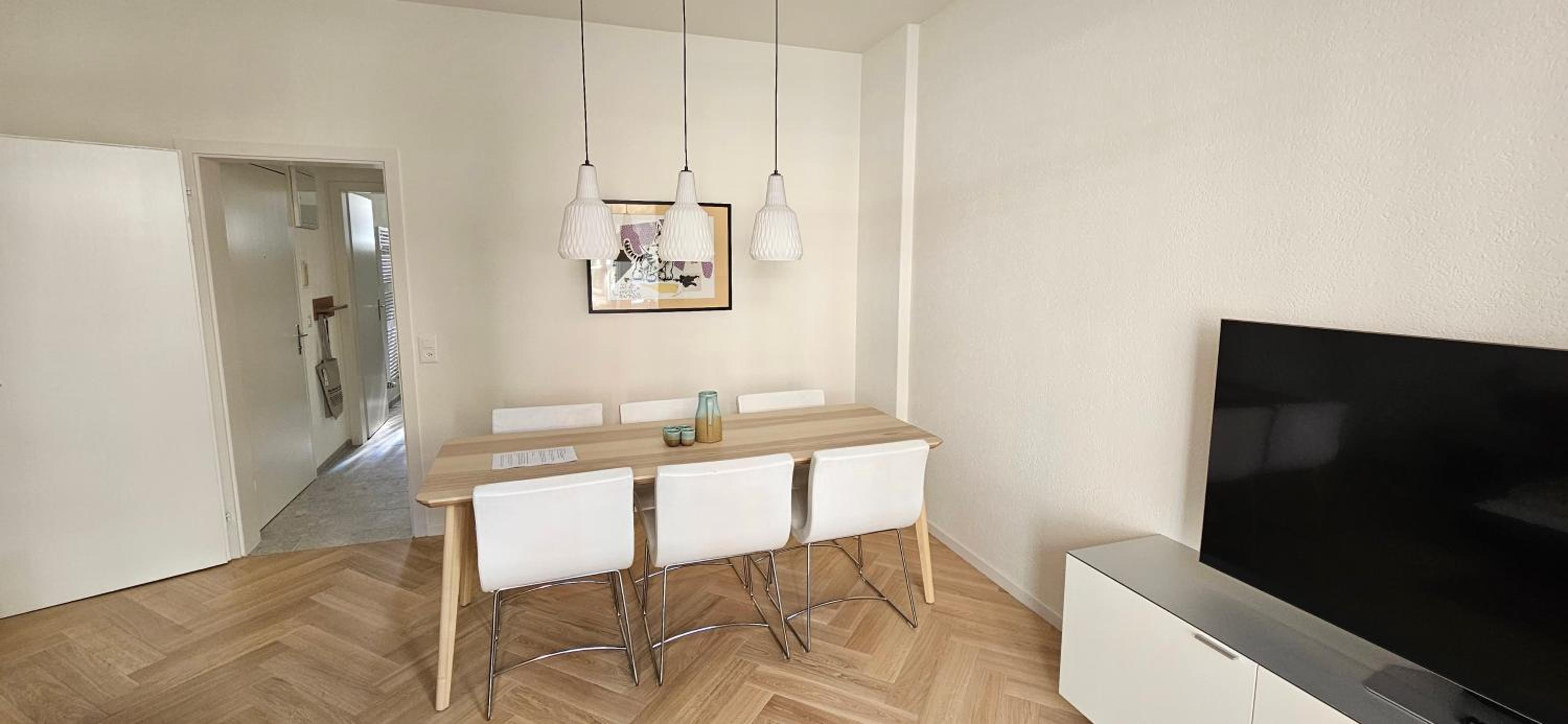 New 2 BR Apartment - 15min from Paradeplatz