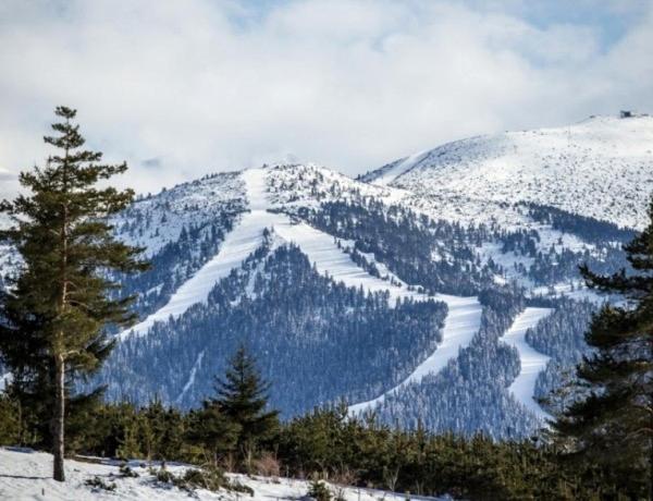 Cozy Studio in Semiramida Gardens - Borovets Hills 39