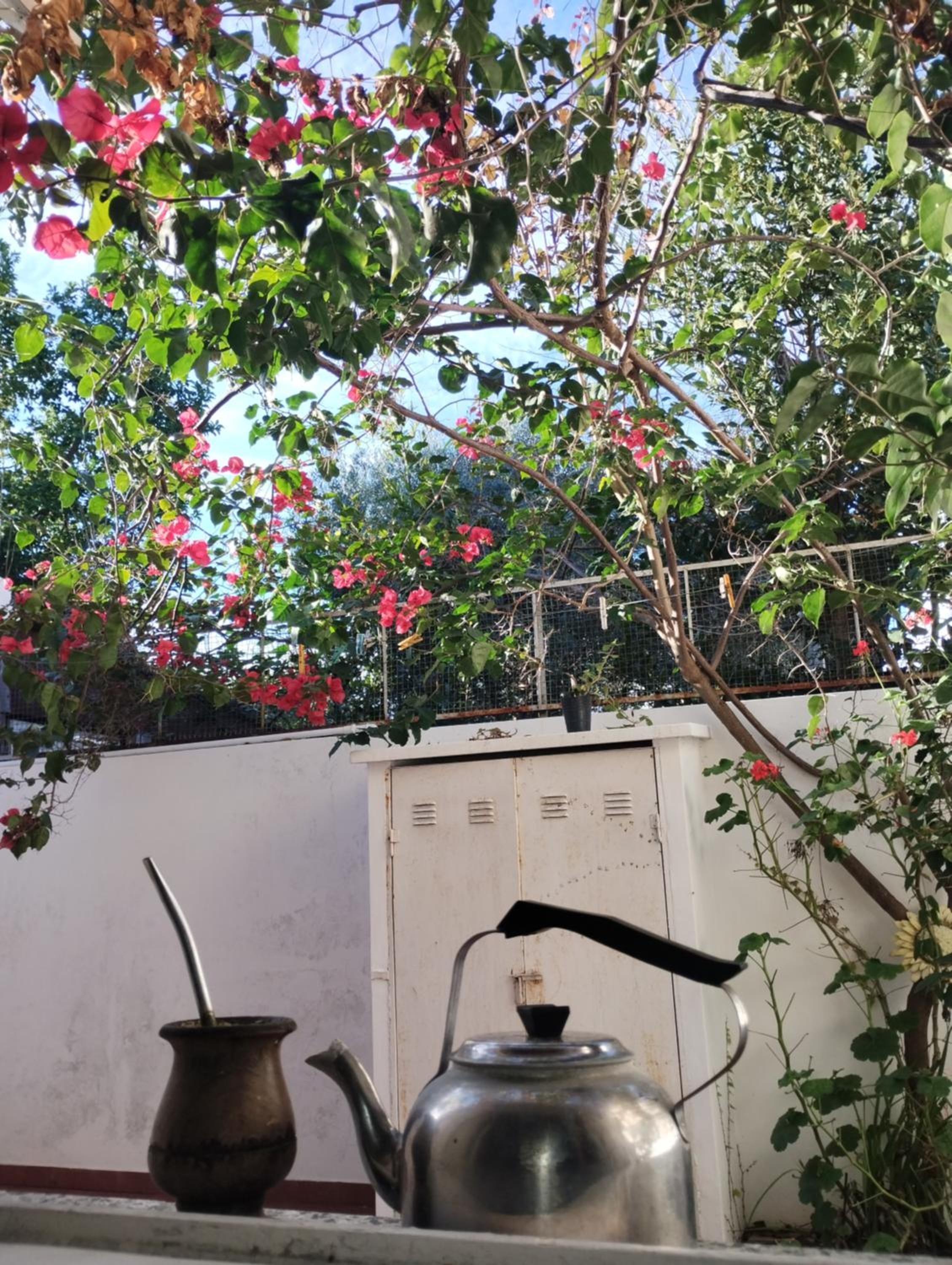 Departamento y naturaleza