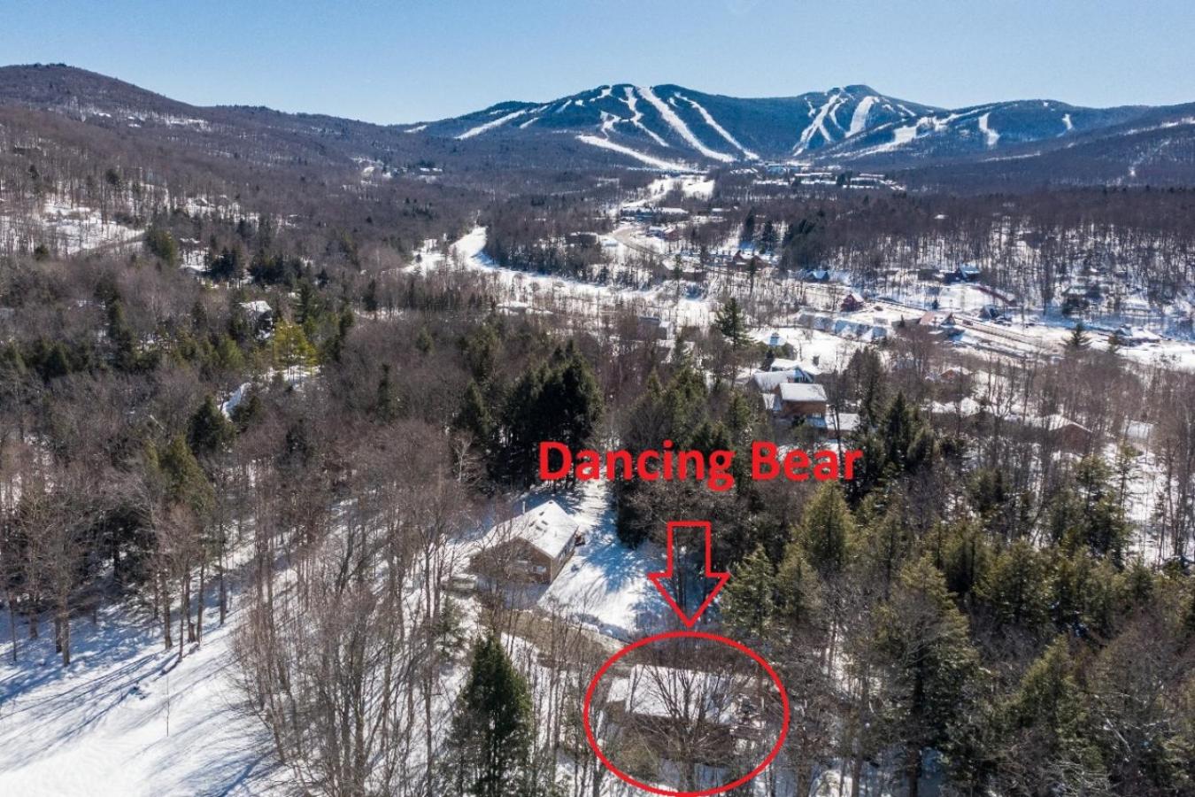 DancingBears- 8BR, 2 Hot Tubs, 2 Homes, Game Room, AC! view 2