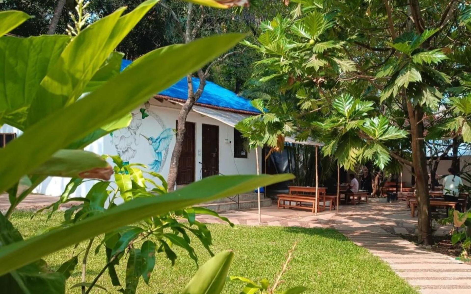 The Funky Monkey Hostel view 5