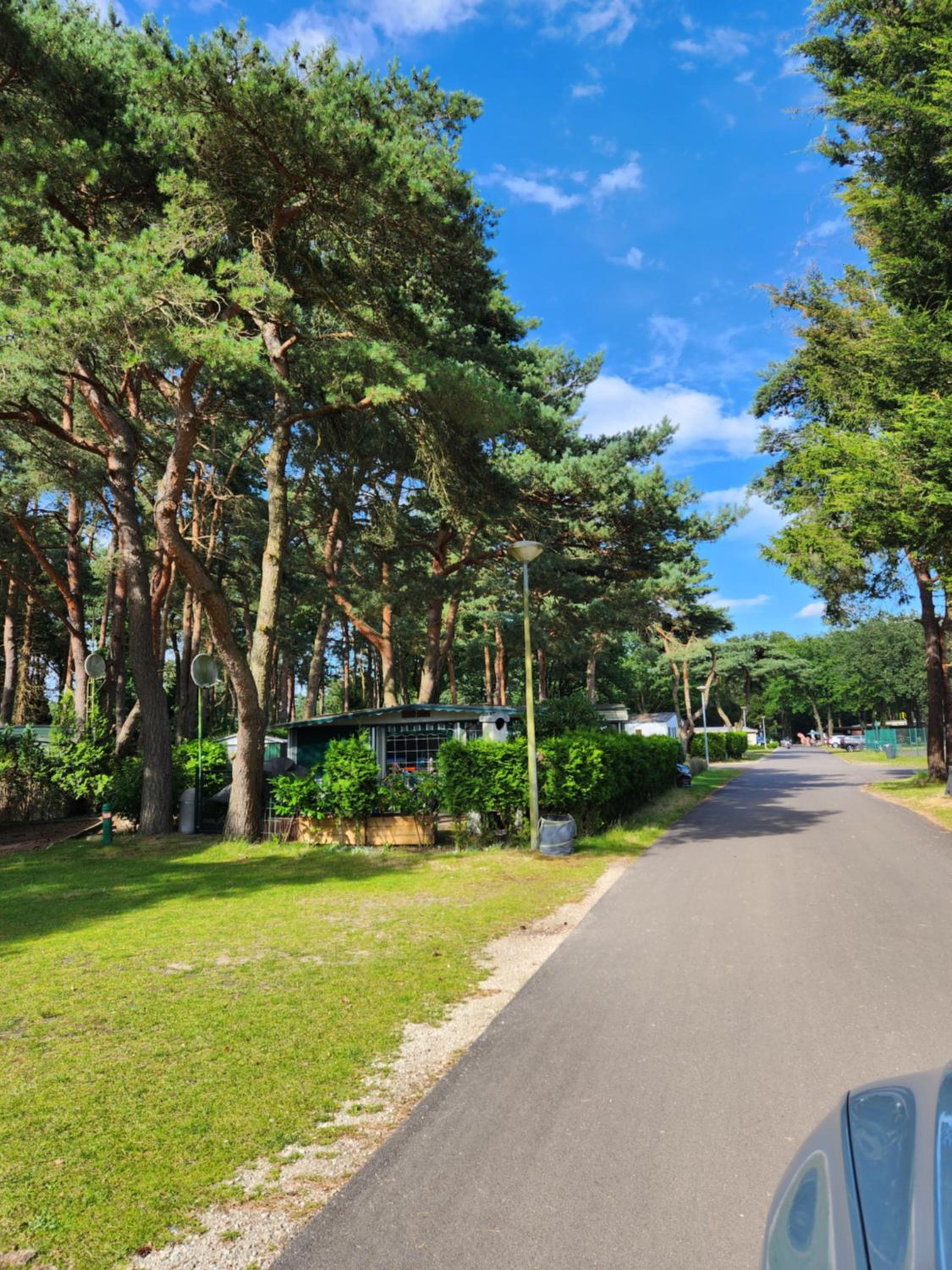 Bungalow WILLERBY