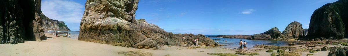 Photo 44