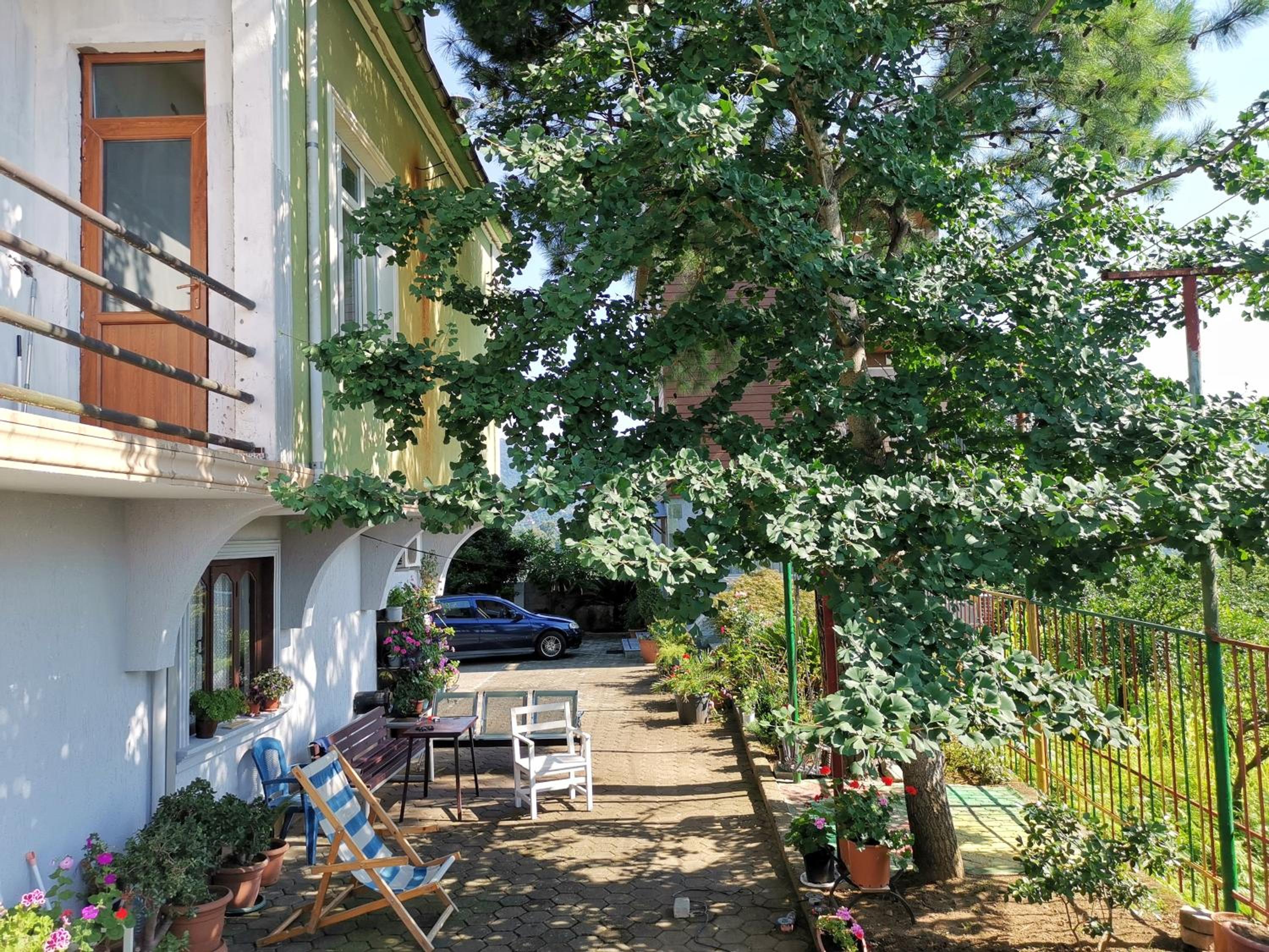 GT House Sameba