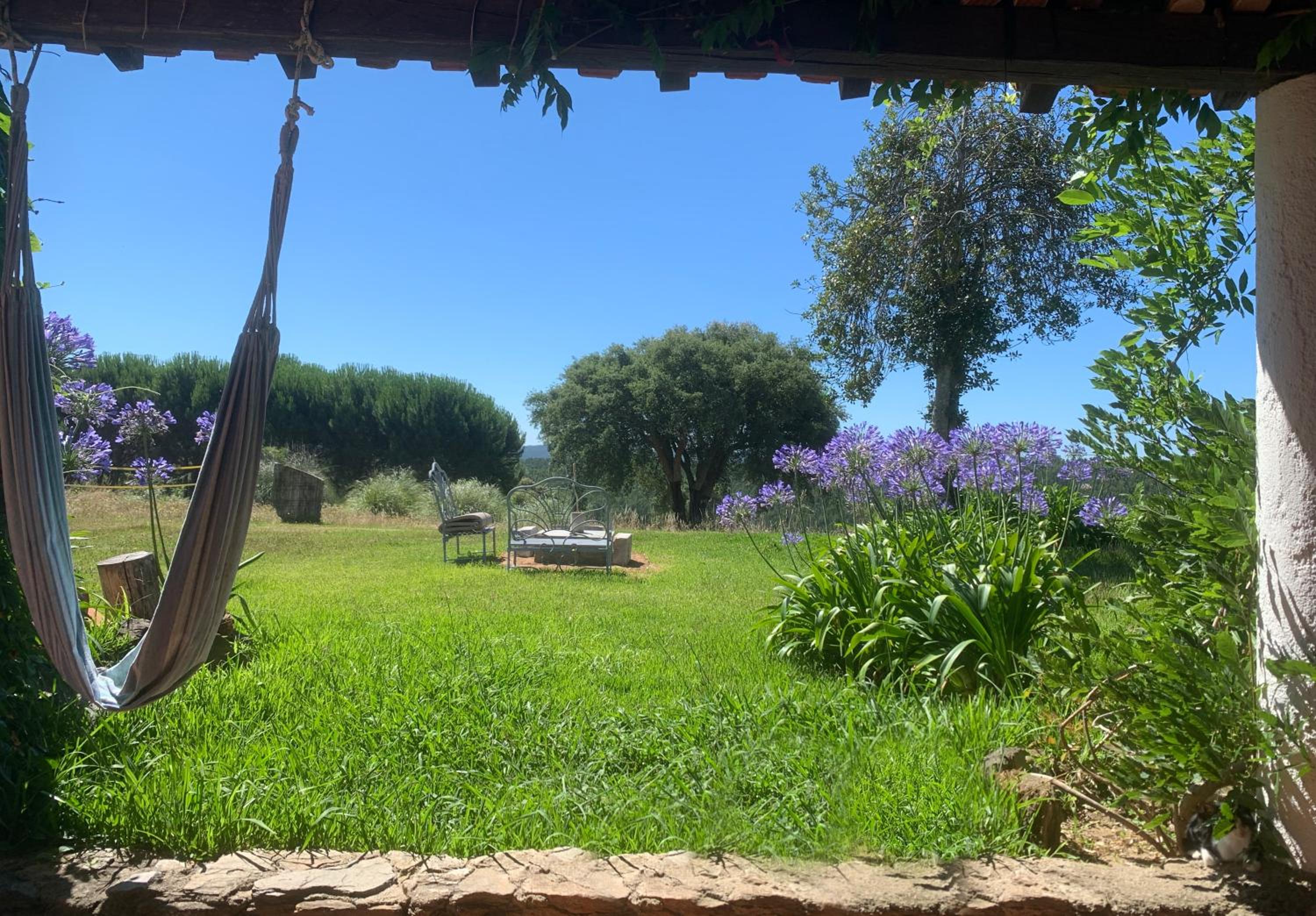 Cottage da Fonte Seca view 5