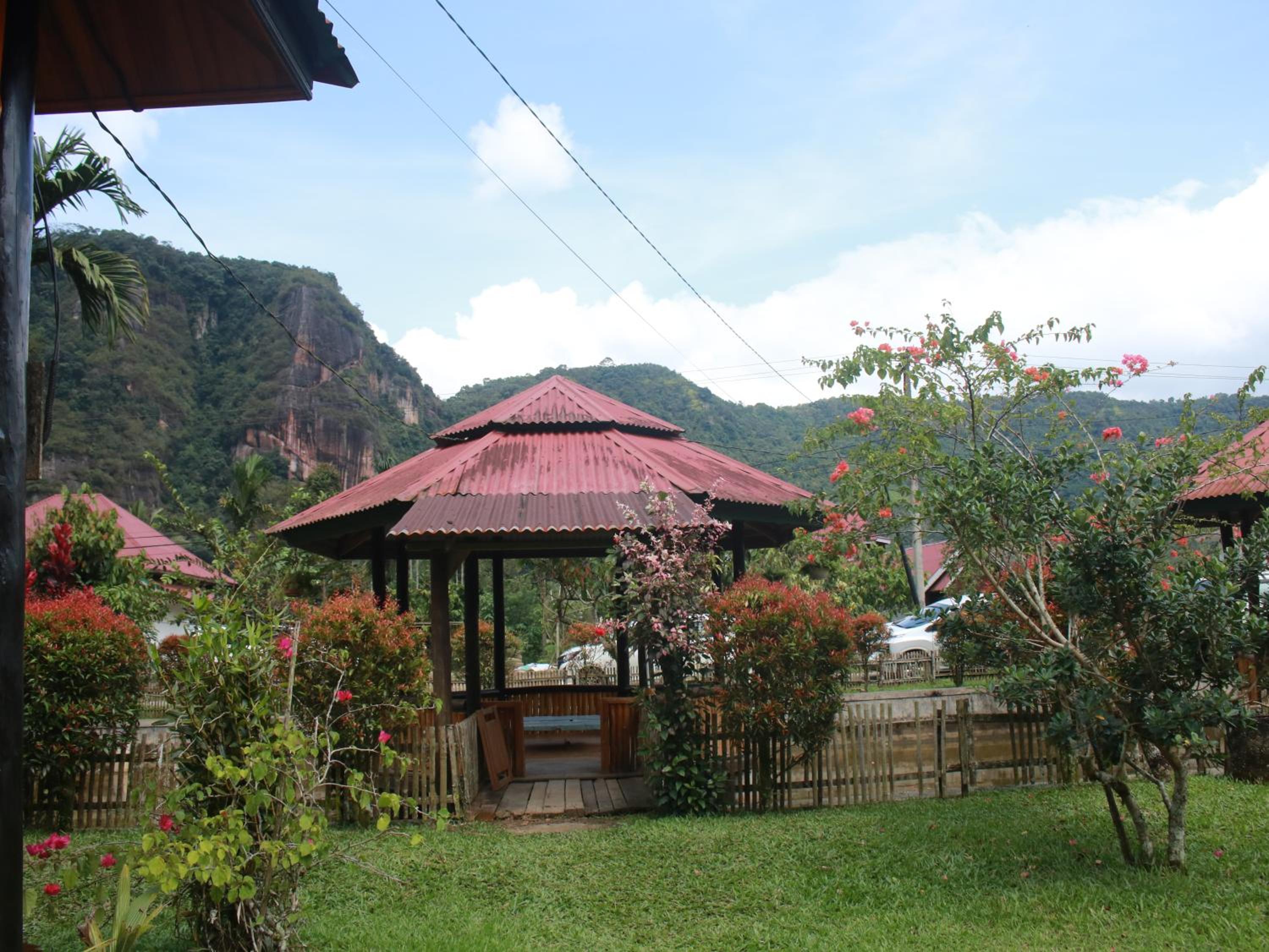 Photo 11