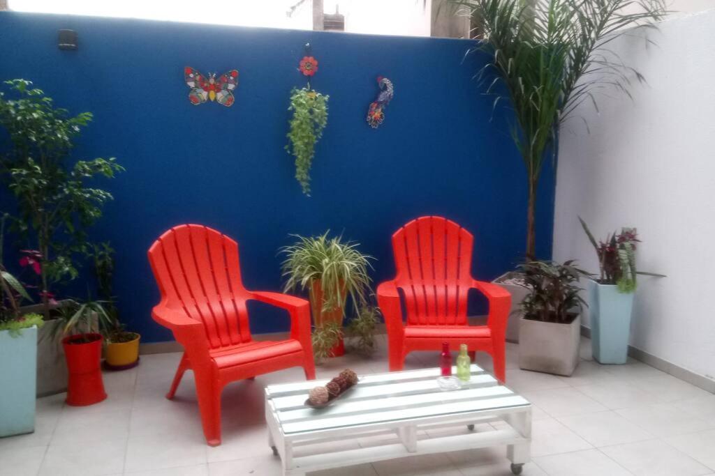 Hermoso estudio con patio privado