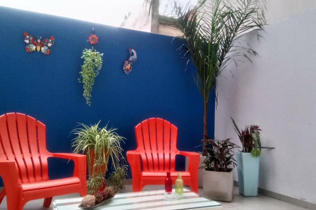 Hermoso estudio con patio privado