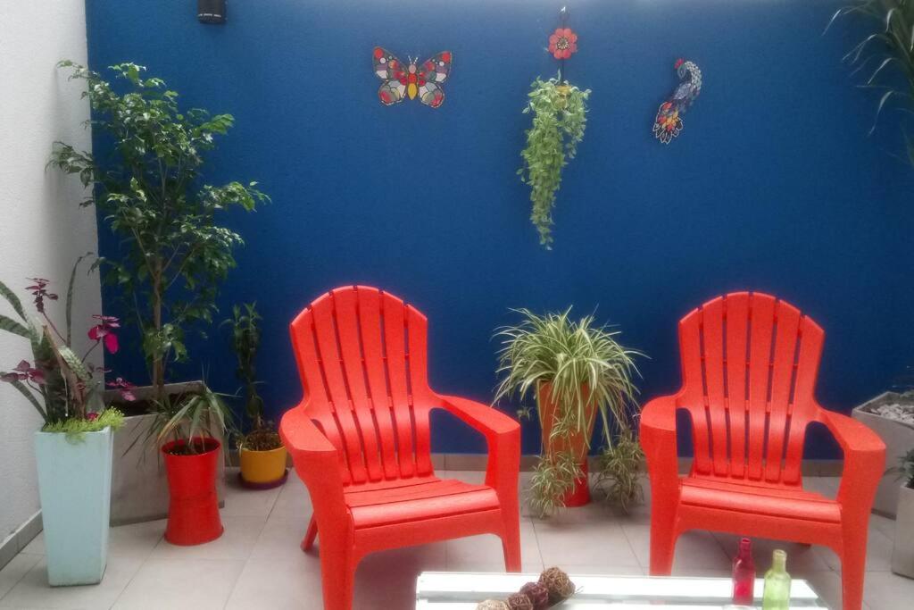 Hermoso estudio con patio privado