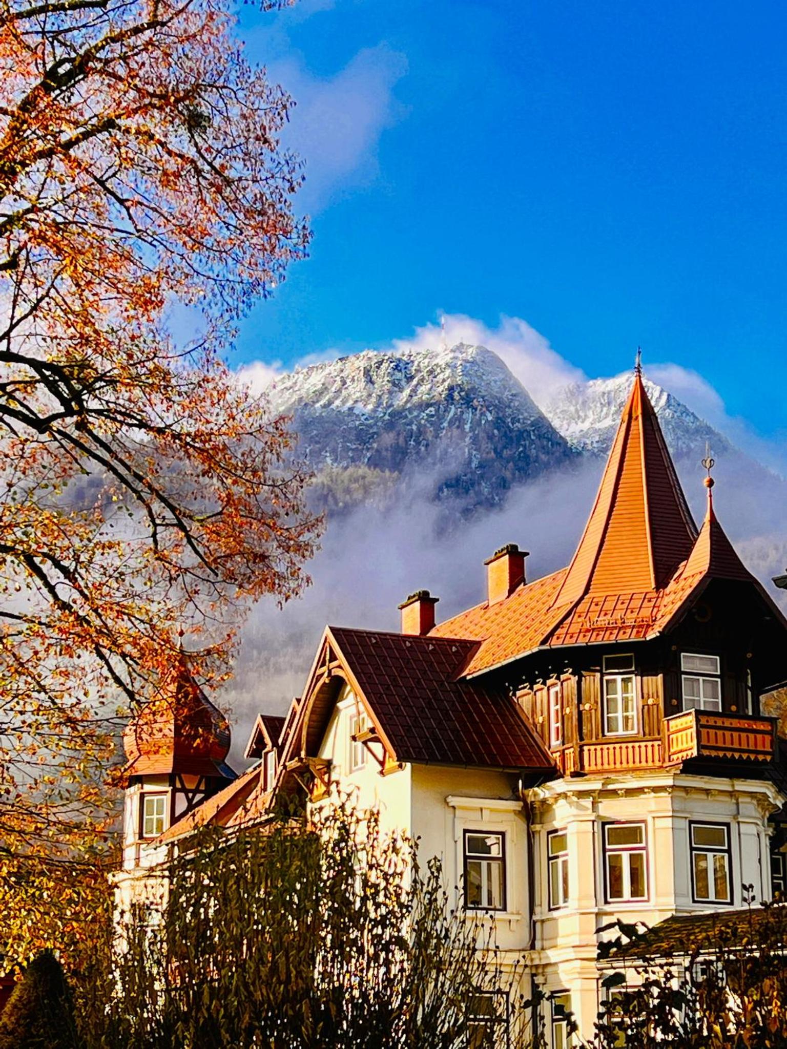 Villa Traun