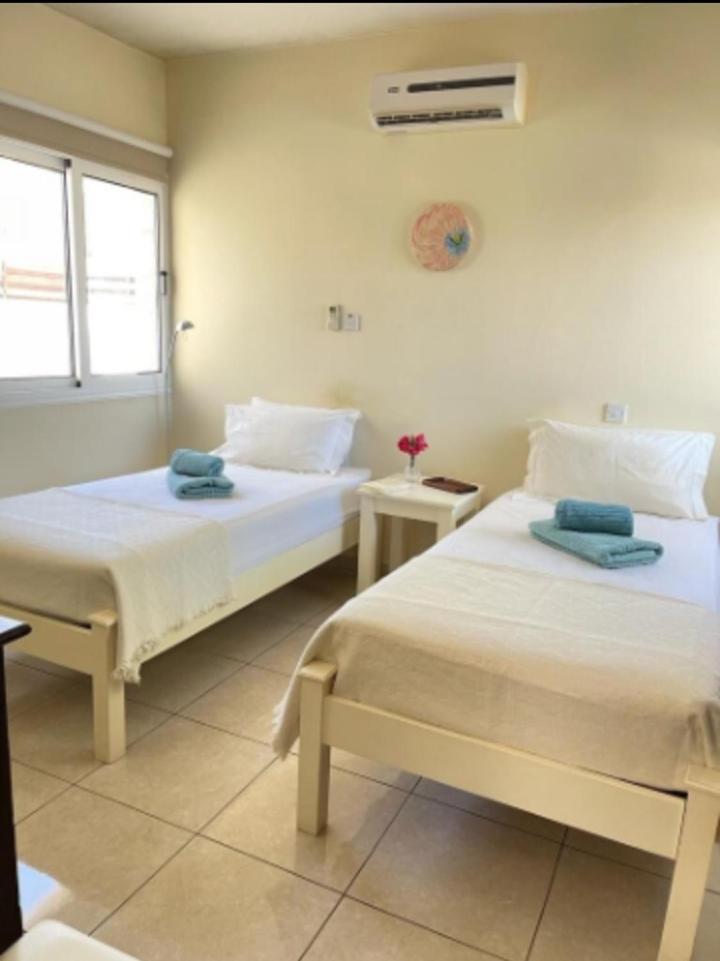 Nissi Farytail pool and Sea view