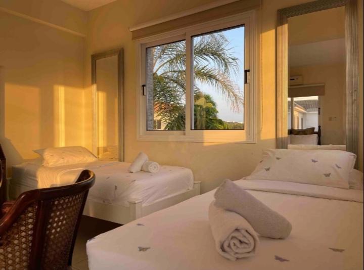 Nissi Farytail pool and Sea view